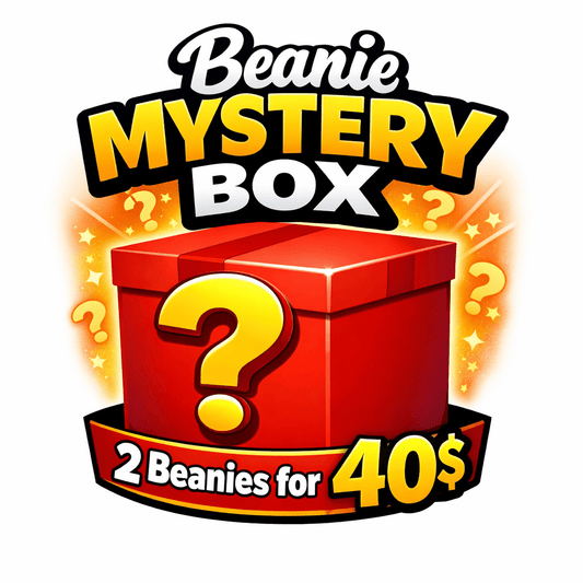 Beanie Mystery Box - 2 Beanies For 40$ - SandBoxBullyShop