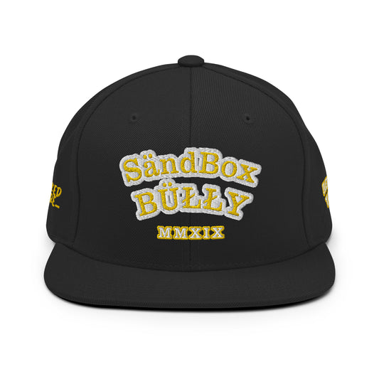 TEAM Snapback