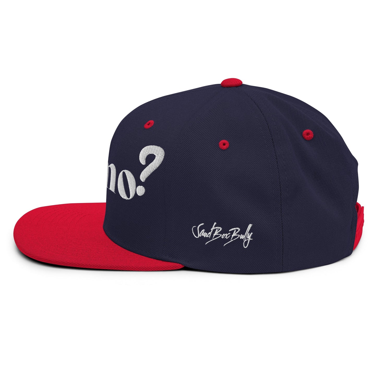 Snapback Hat - SandBoxBullyShop